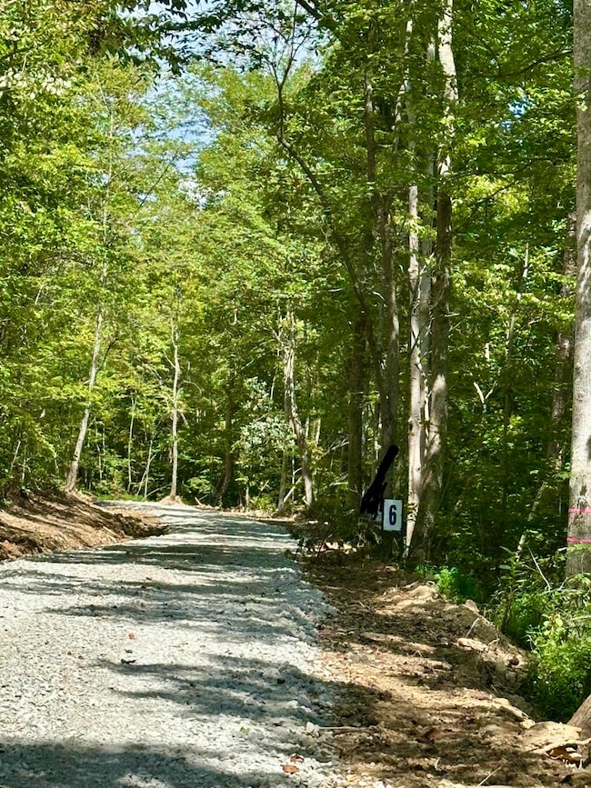 424- TRACT 4 Kentucky 577, Fogertown, KY 40962 - photo 3