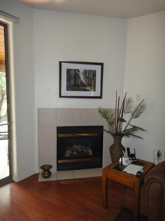 Living Room Fireplace