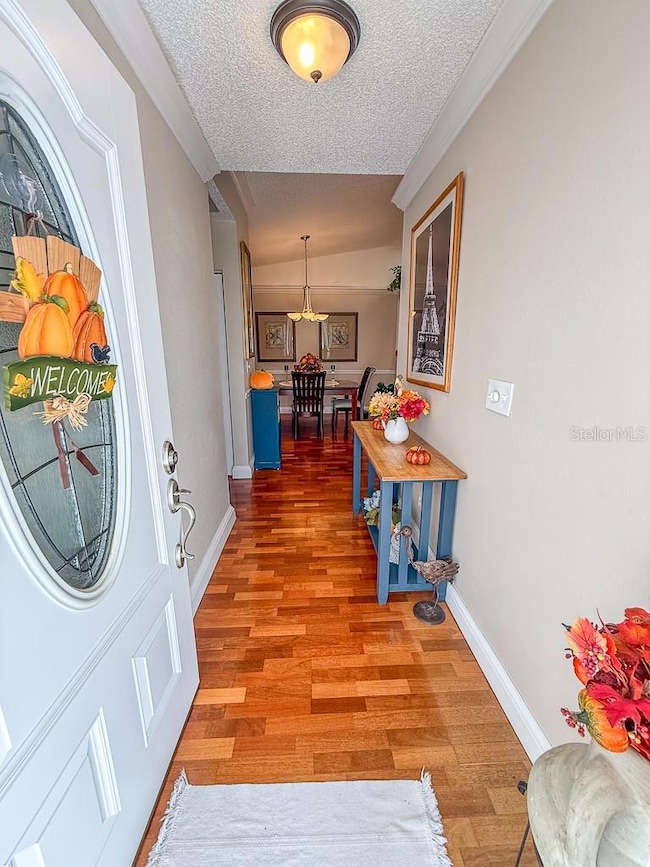 3273 Mcmath Dr, Palm Harbor, FL 34684 - photo 5