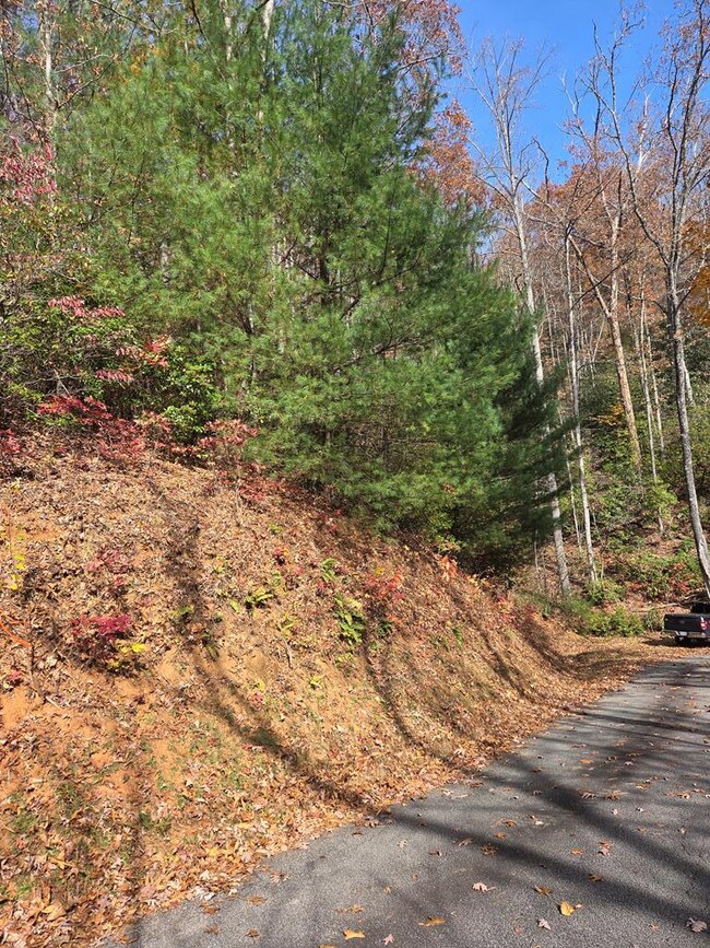 Lot 134 Diamond Falls Estates, Franklin, NC 28734 - photo 4