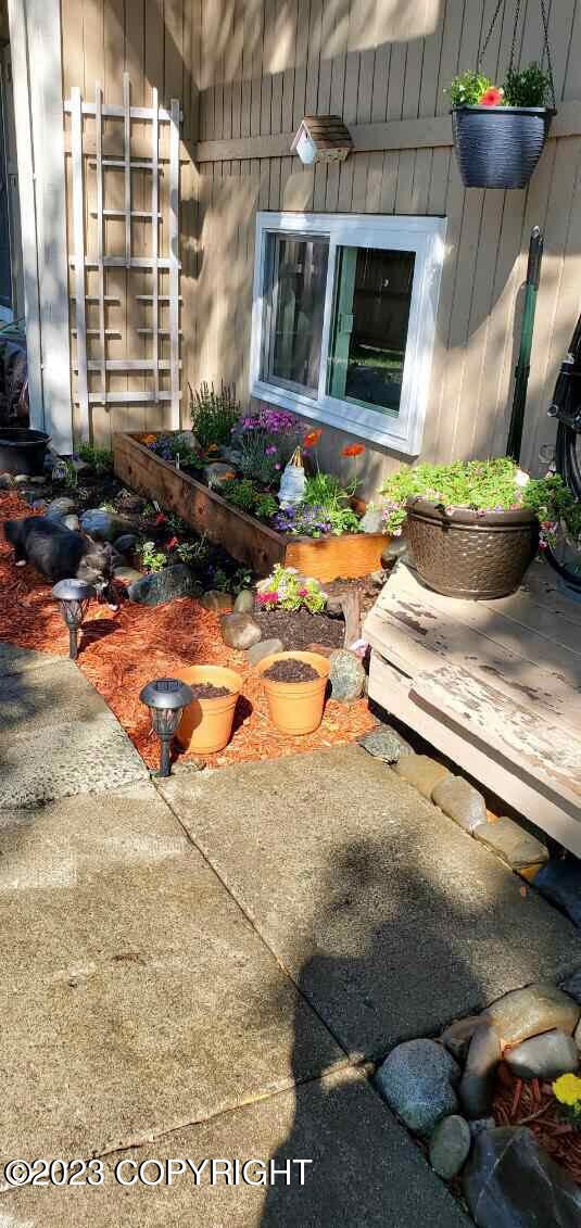 garden
