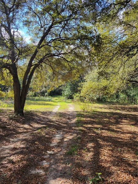 5110 SW 181st Ct, Dunnellon, FL 34432 - photo 2