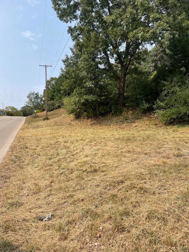 0 9th St, Manistee, MI 49660 - photo 4