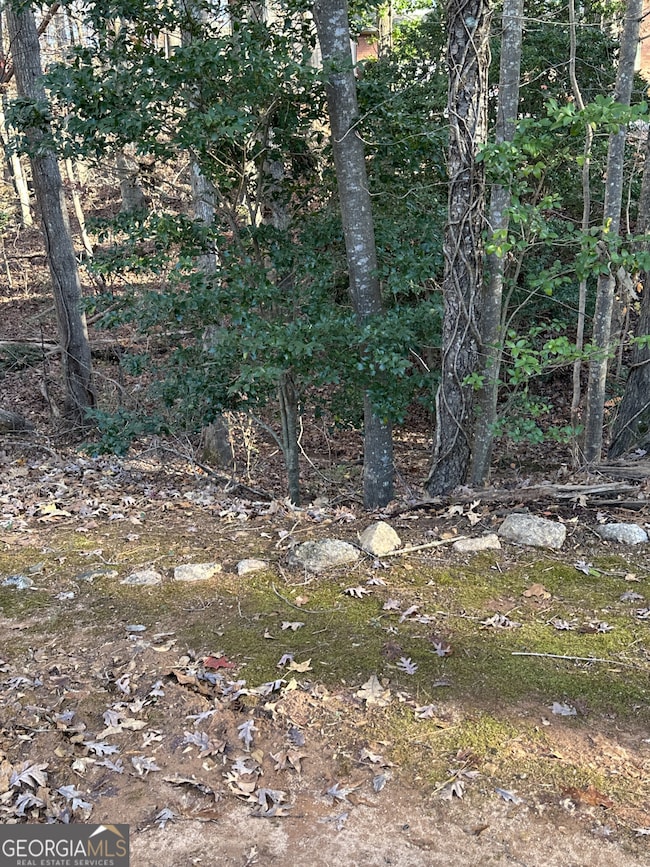 1038 Plantation Blvd SE, Conyers, GA 30094 - photo 2