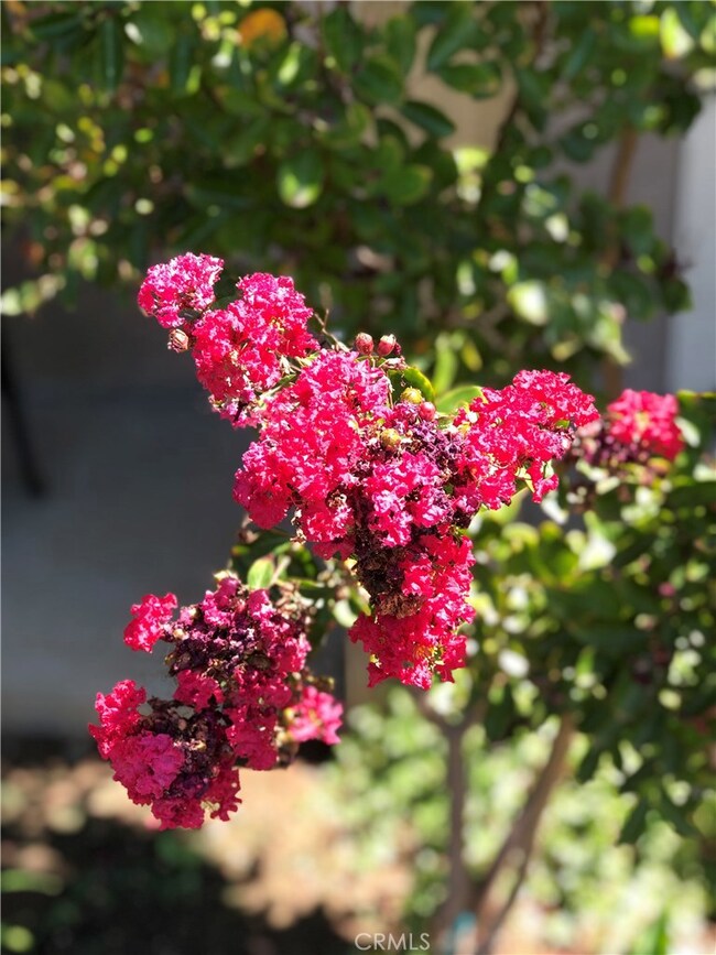 850 Applewood Way, Willows, CA 95988 - photo 6