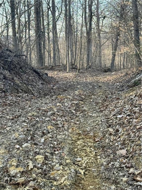 0 Lotticks Corner unit 2025012658, Elizabeth, IN 47117 - photo 6