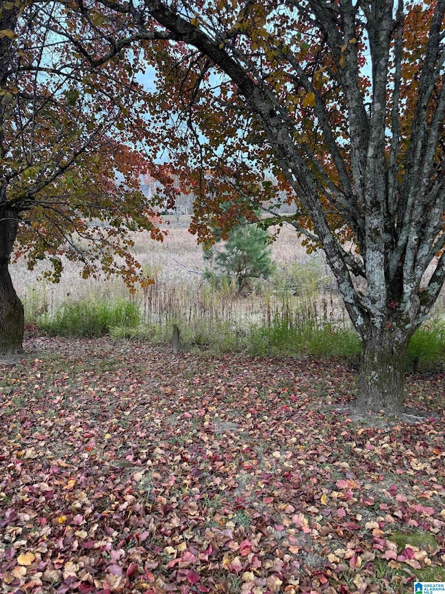 4 Springs Cove Rd, Warrior, AL 35180 - photo 2