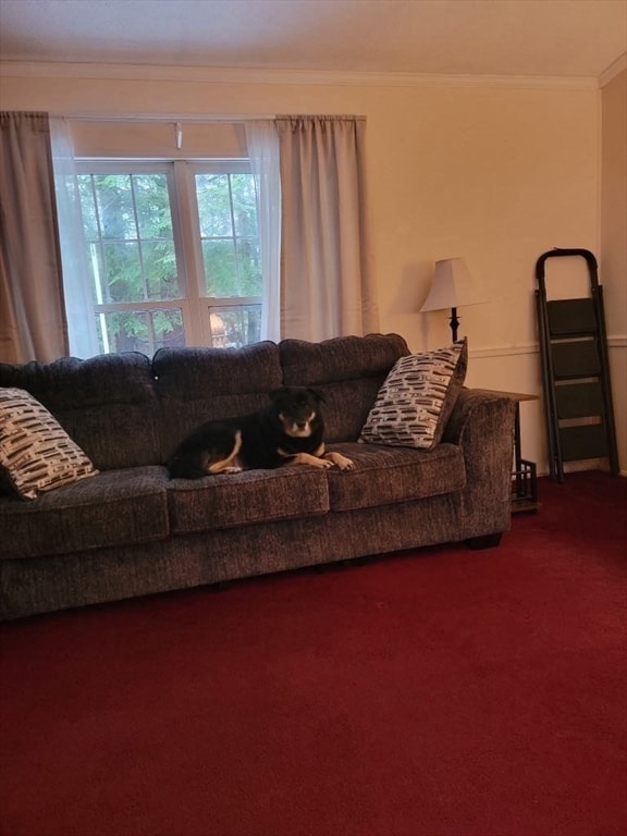 11 Colonial Ln, Winchendon, MA 01475 - photo 6