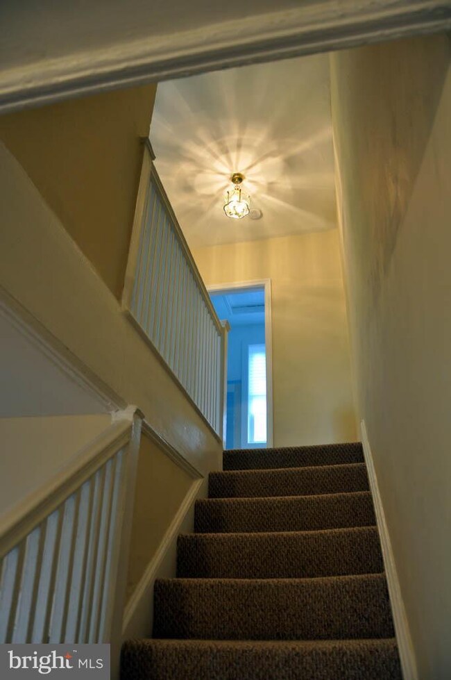 710 Columbia Rd NW, Washington, DC 20001 - photo 4