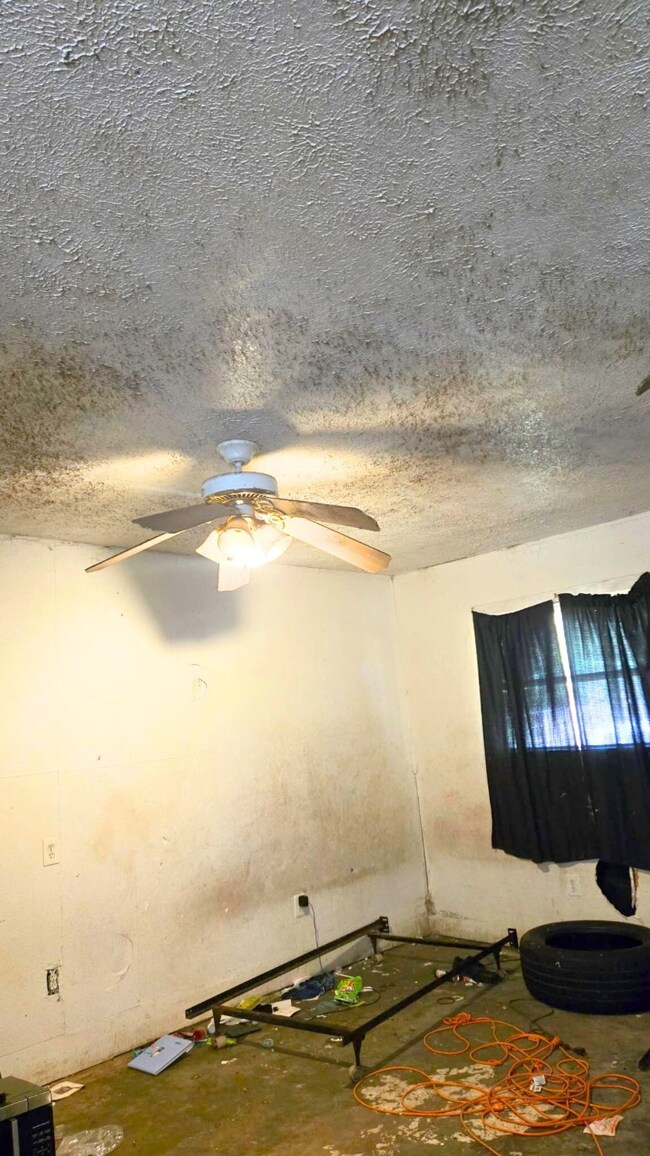 5642 Ricky St, Houston, TX 77033 - photo 5