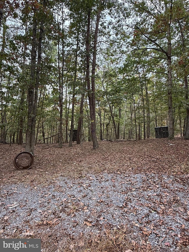 1684 Posey Hollow Rd, Berkeley Springs, WV 25411 - photo 5