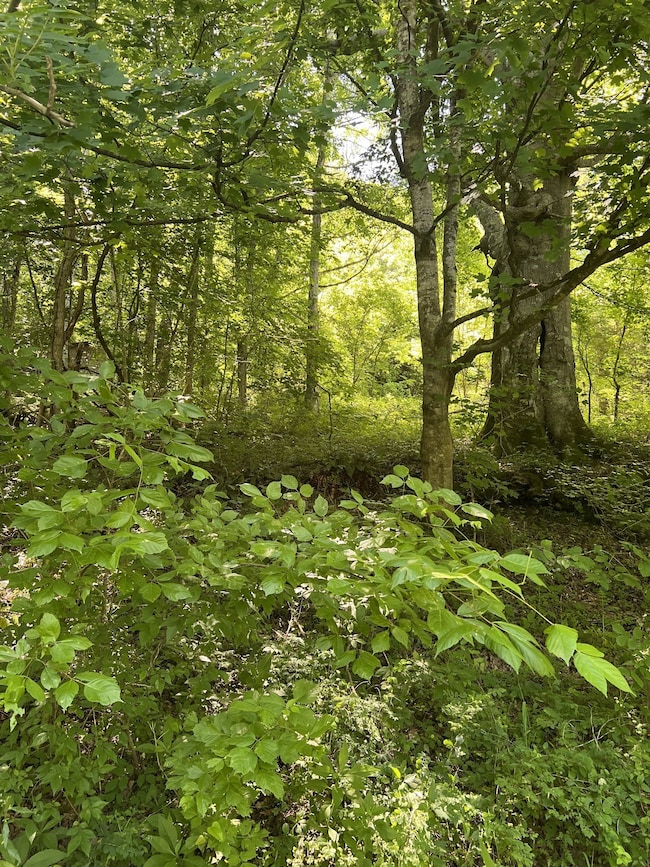 0 Peytons Creek Rd unit RTC3050956, Dixon Springs, TN 37057 - photo 3