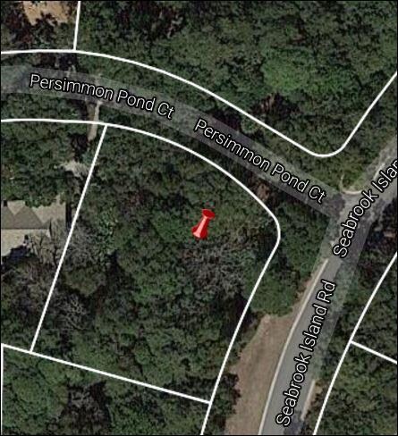 2606 Seabrook Island Rd_Parcel_map