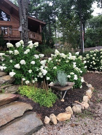 448 S Ashburnham Rd, Westminster, MA 01473 - photo 5