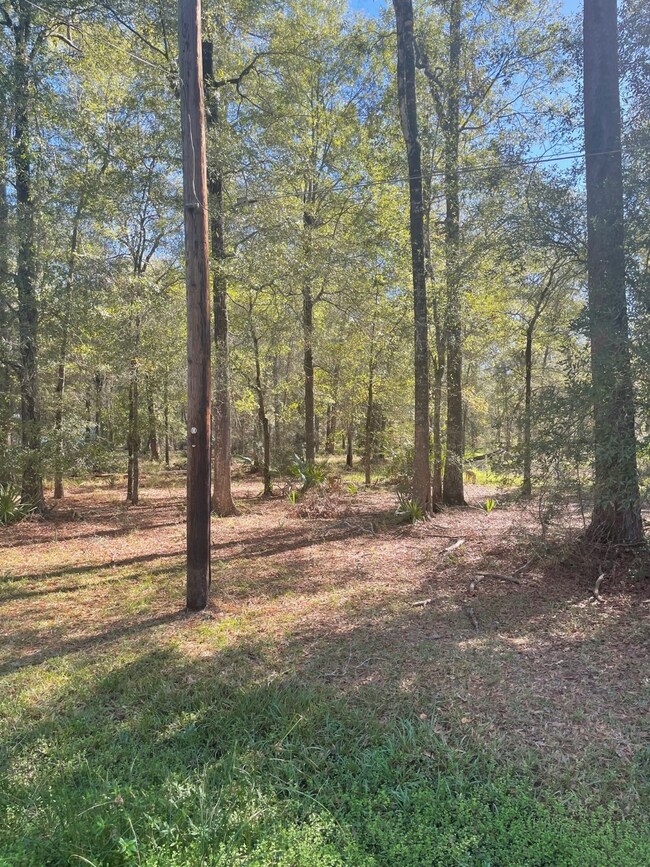 TBD County Road 441, Dayton, TX 77535 - photo 5