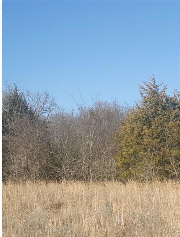 000 Dripping Spring Rd, Denison, TX 75021 - photo 5