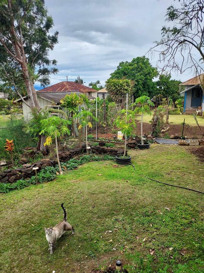 17 Aoiki St, Makawao, HI 96768 - photo 7