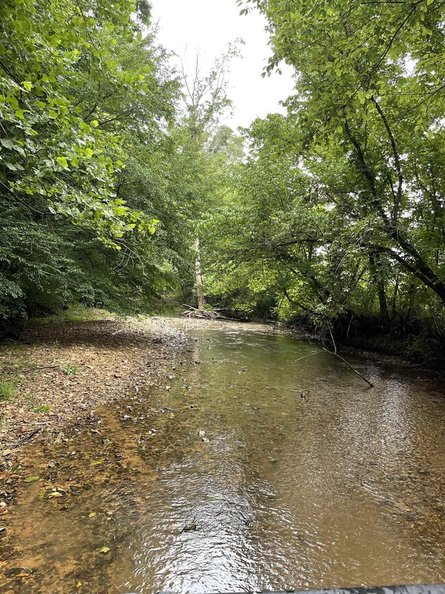 0 Woods Prong Rd, Linden, TN 37096 - photo 2