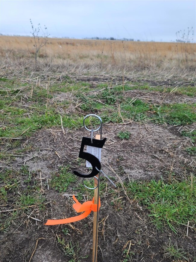 Lot 5 County Rd 4308, Greenville, TX 75401 - photo 3