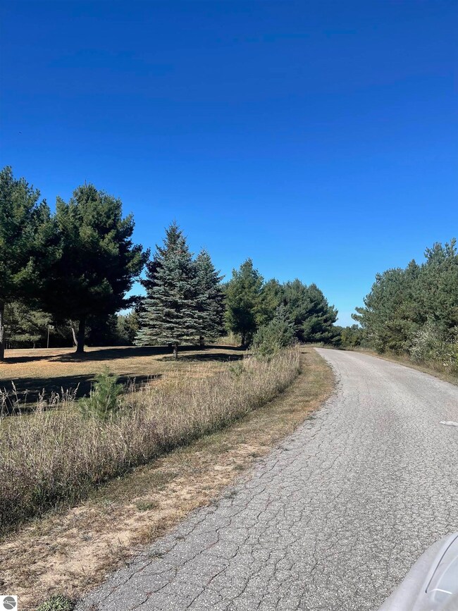 000 Paradise Hills Dr unit 1, Central Lake Township, MI 49622 - photo 3