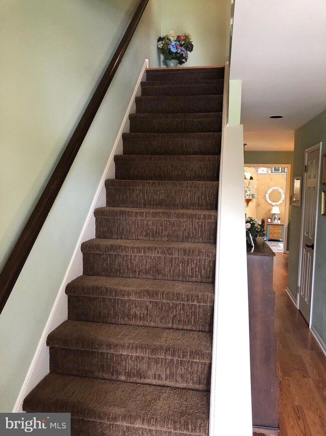 338 Scola Rd, Brookhaven, PA 19015 - photo 7