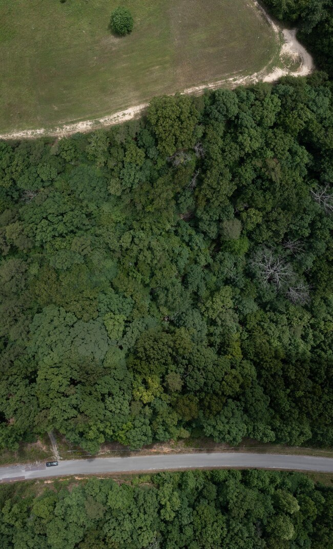 0 Teludachee Trail unit RTC2720903, South Pittsburg, TN 37380 - photo 4