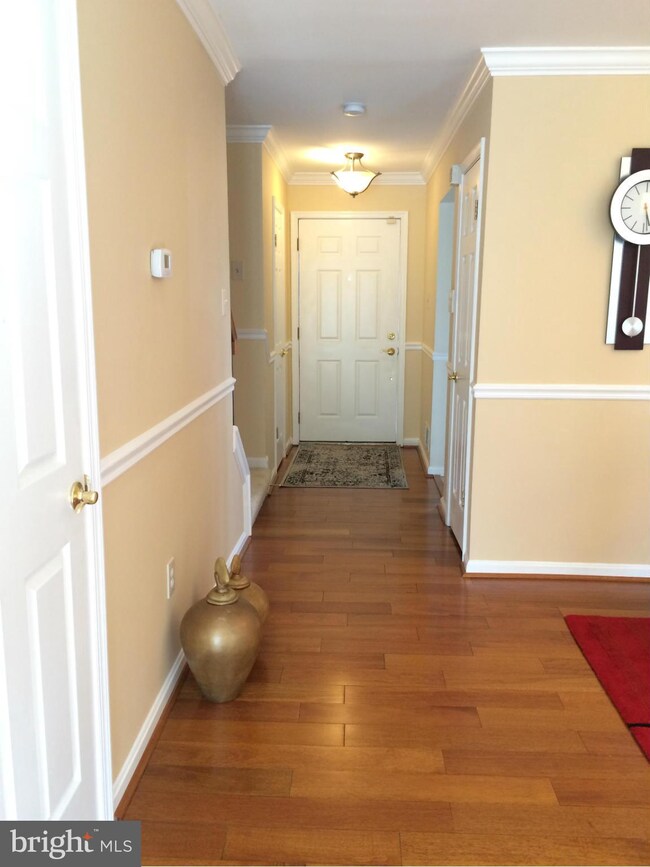 1015 Lake Shore Dr, Bowie, MD 20721 - photo 2