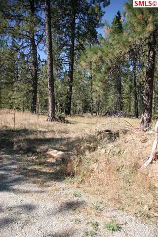 1031 Homestead Rd, Athol, ID 83801 - photo 5