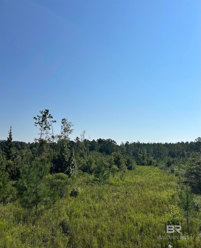 24300 Highway 41, Brewton, AL 36426 - photo 3