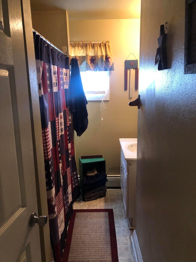 bathroom apt d