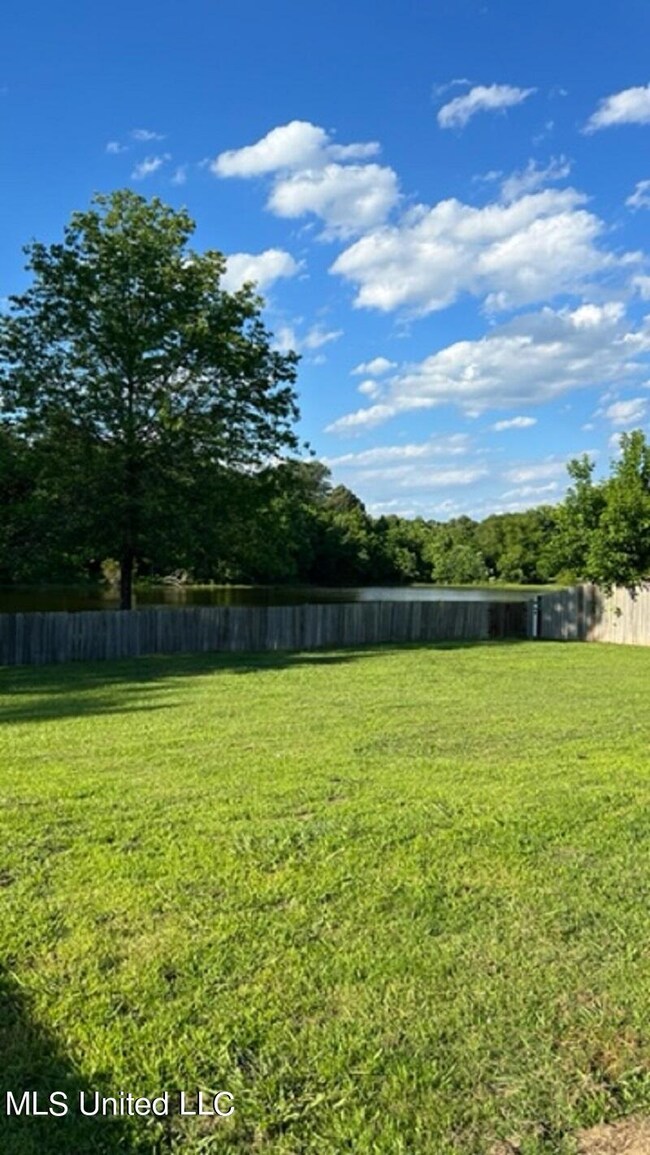 Backyard 1