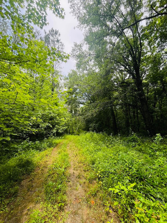 0 Happy Hollow Rd, Woodland, MS 39776 - photo 6