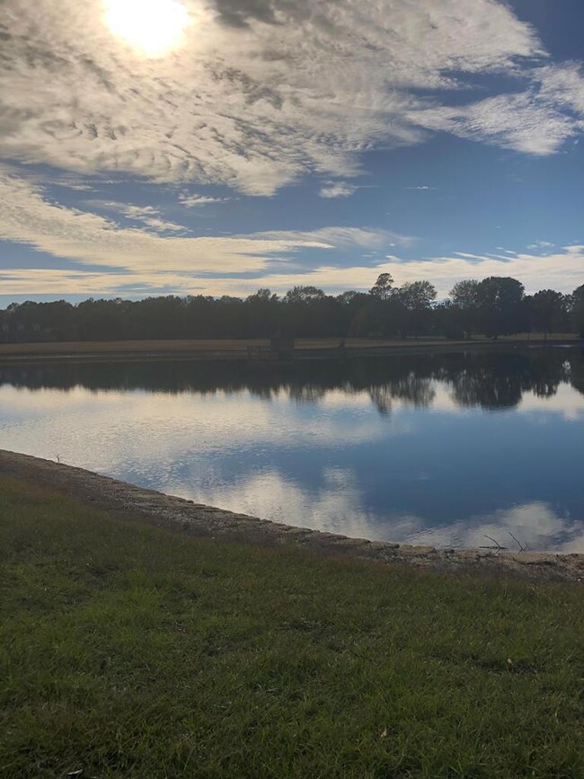 249 Geron Williamson Rd, Lyons, GA 30436 - photo 3