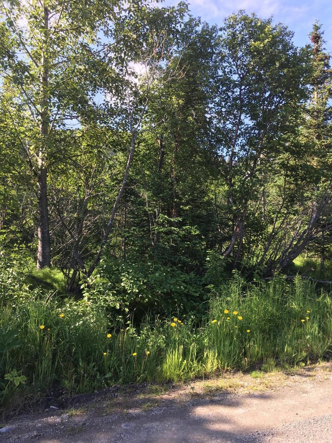 View Of Lot From Byron Drive