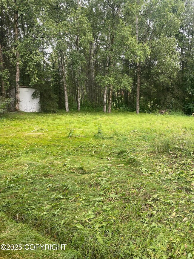 5545 Fairbanks St, Anchorage, AK 99518 - photo 5