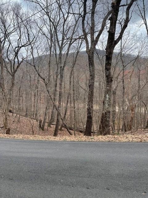 LT3150 Crippled Oak Trail, Jasper, GA 30143 - photo 2