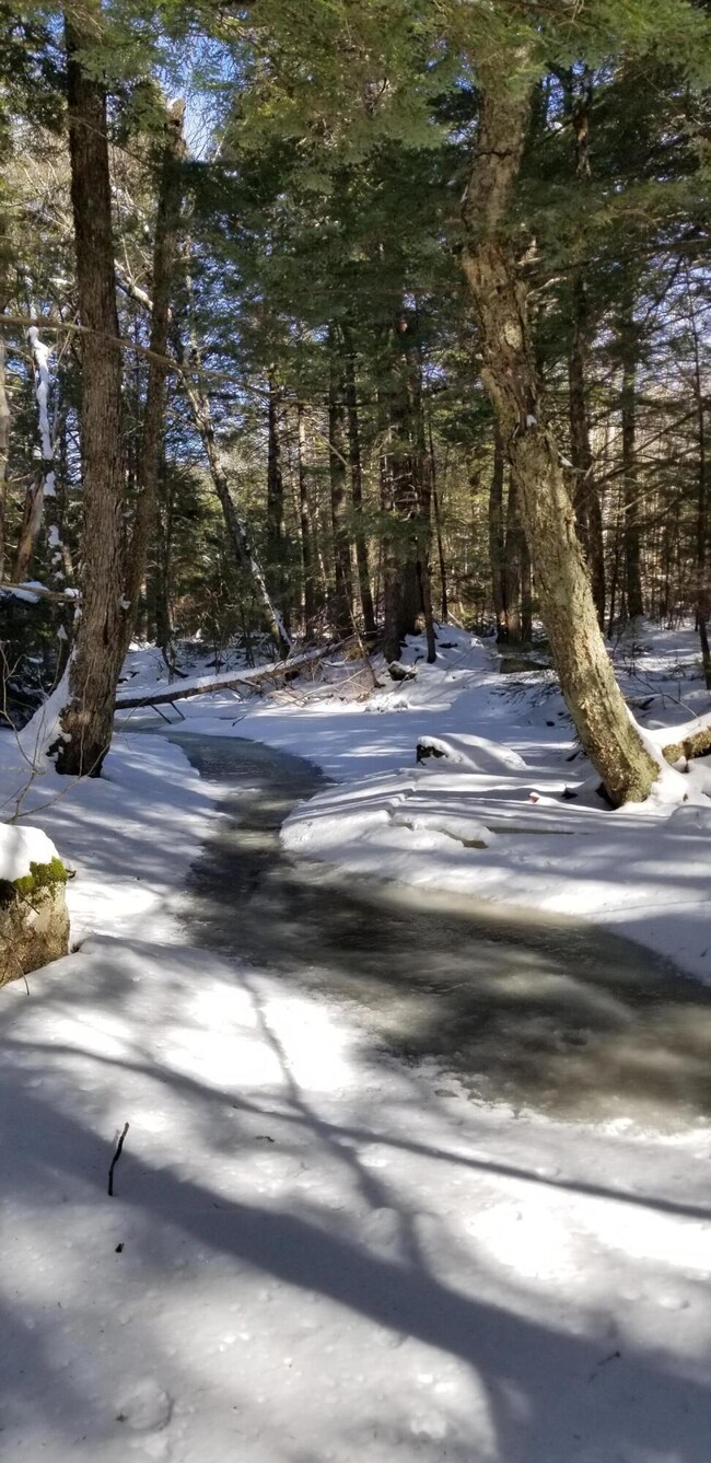 Sucker Brook_134529