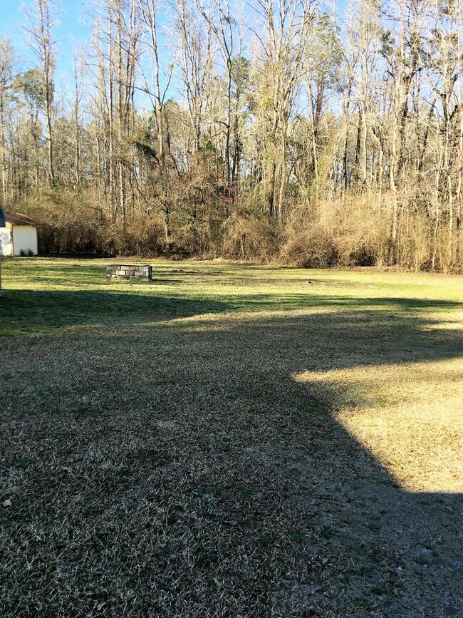 rowe back yard