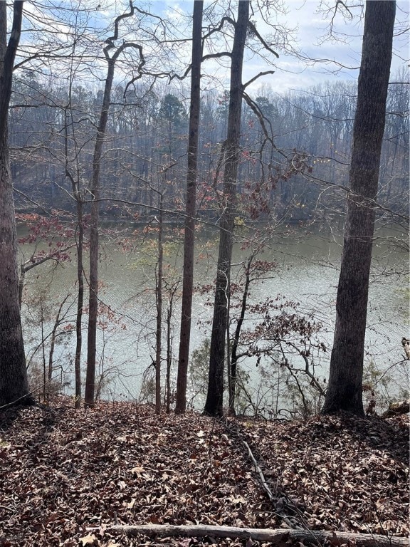 0 Lakeview Dr unit 20271609, Fair Play, SC 29643 - photo 4