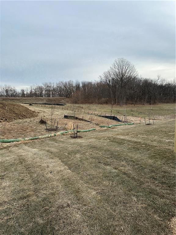 2925 River Ridge Rd, Des Moines, IA 50320 - photo 3