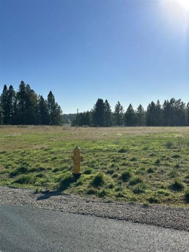 31912 N Zander Ln, Chattaroy, WA 99003 - photo 5