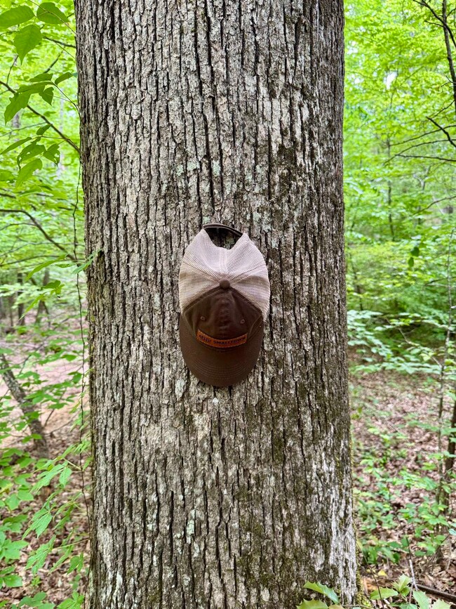 0 Silerton Rd, Toone, TN 38381 - photo 4