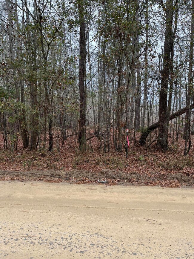 00 Ryn St, Cope, SC 29038 - photo 7