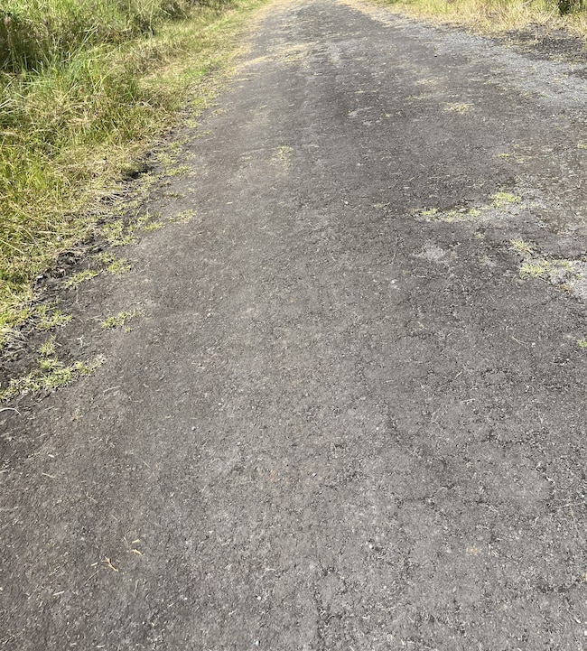 0 Holana St, Mountain View, HI 96771 - photo 3