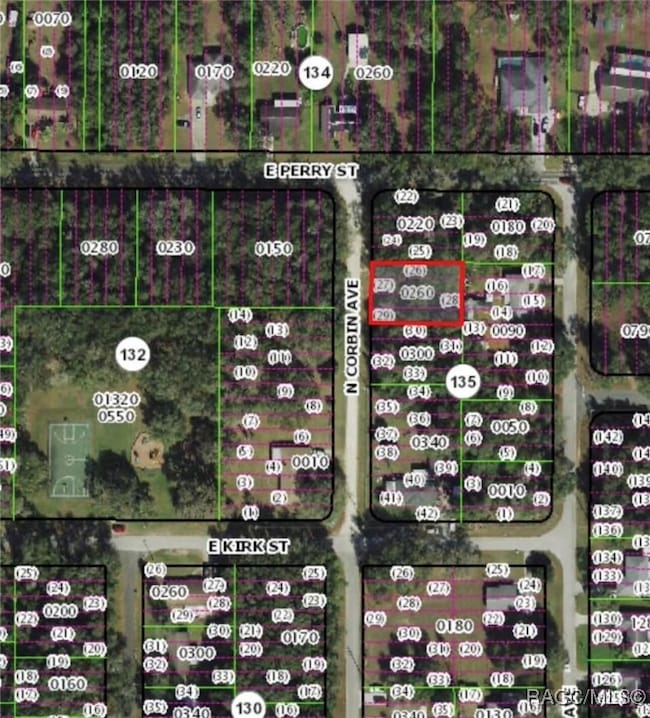 751 N Corbin Ave, Inverness, FL 34453 - photo 4