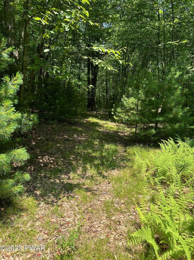 0 Weber Rd, Milford, PA 18337 - photo 5