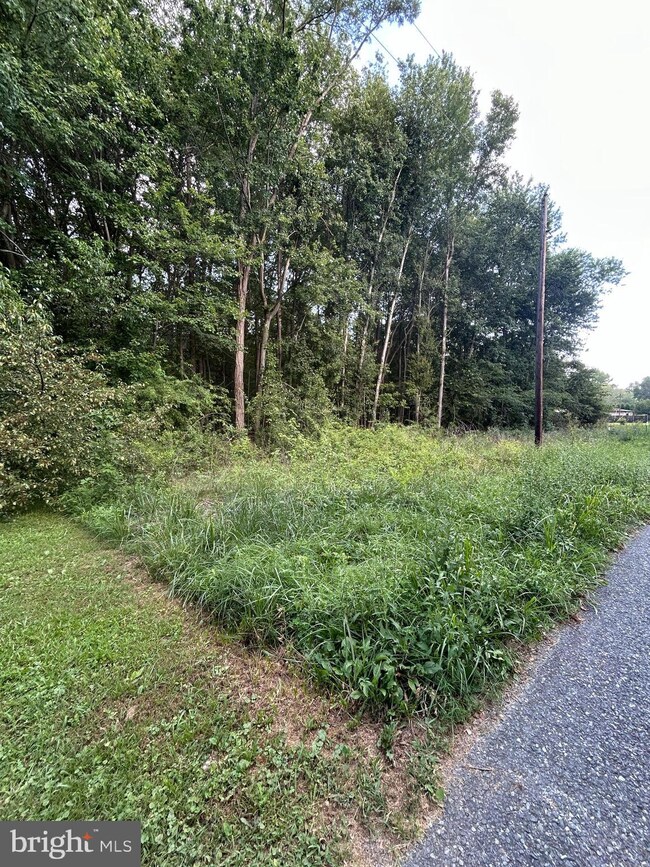 0 Chesterville Forest Rd unit PARCEL 84A, 1, Massey, MD 21651 - photo 2