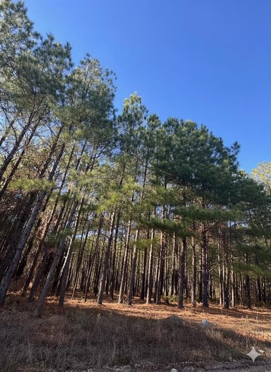 4 Sugarberry Trail, Broken Bow, OK 74728 - photo 5