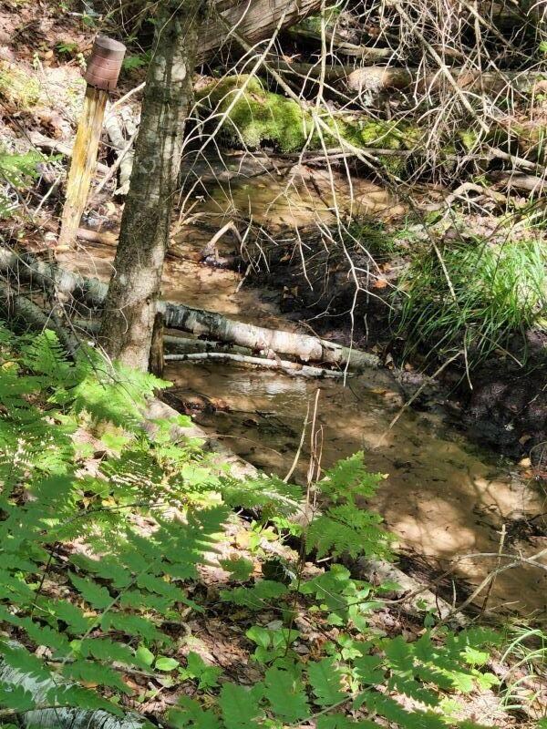 creek