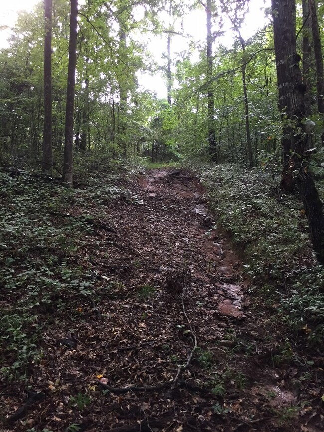 3303 Stokes Store Rd, Forsyth, GA 31029 - photo 6